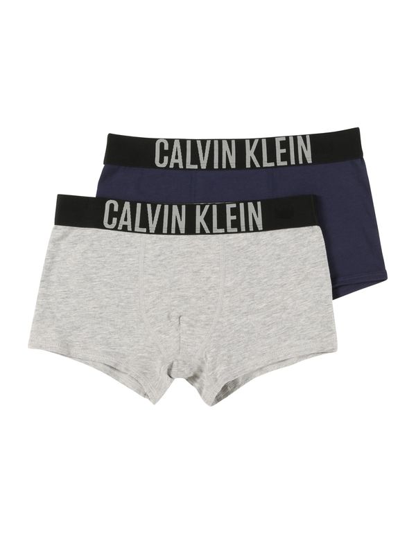 Calvin Klein Underwear Calvin Klein Underwear Spodnjice  modra / siva
