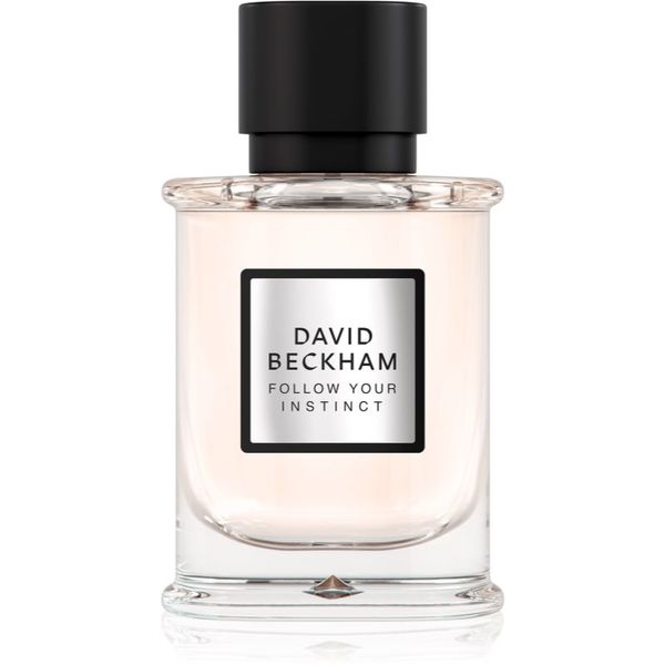 David Beckham David Beckham Follow Your Instinct parfumska voda za moške 50 ml