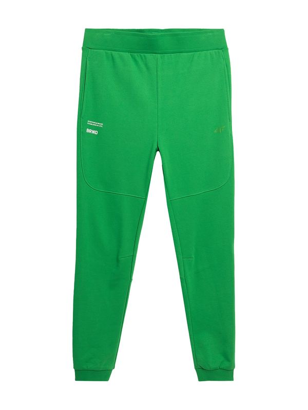4F 4F Športne hlače  travnato zelena / bela