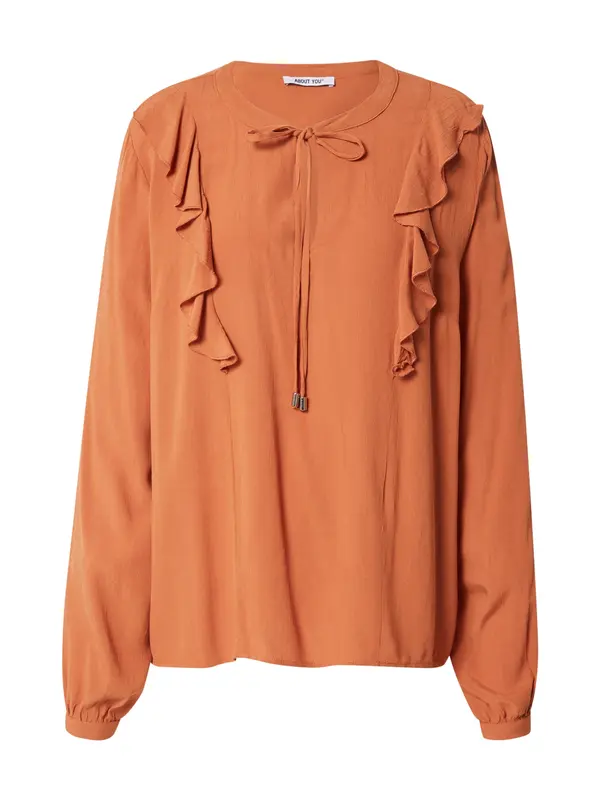 ABOUT YOU ABOUT YOU Bluza 'Darja'  rjava