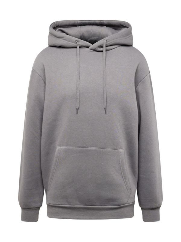ABOUT YOU ABOUT YOU Majica 'Dian Hoodie'  antracit