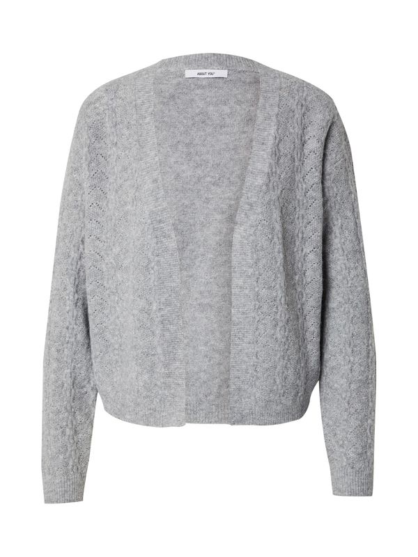 ABOUT YOU ABOUT YOU Pletena jopa 'Pina'  siva