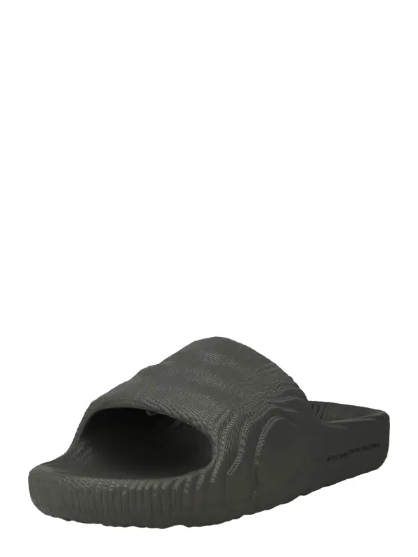 ADIDAS ORIGINALS ADIDAS ORIGINALS Čevelj za na plažo/kopanje 'Adilette 22'  temno siva
