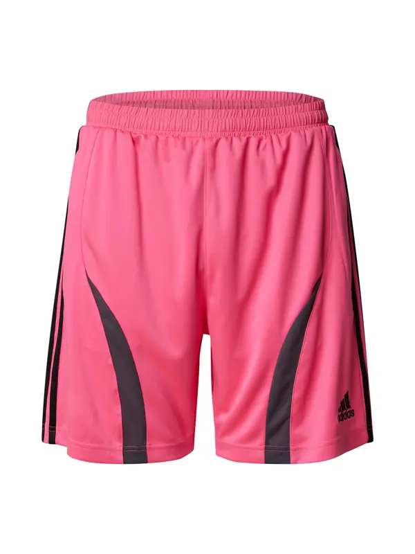 ADIDAS ORIGINALS ADIDAS ORIGINALS Hlače 'Teamgeist Adicolor'  roza / črna