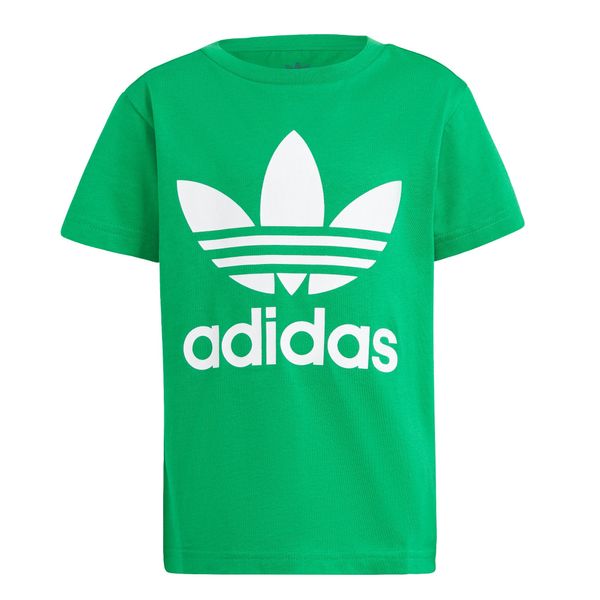 ADIDAS ORIGINALS ADIDAS ORIGINALS Majica 'Adicolor Trefoil'  travnato zelena / bela