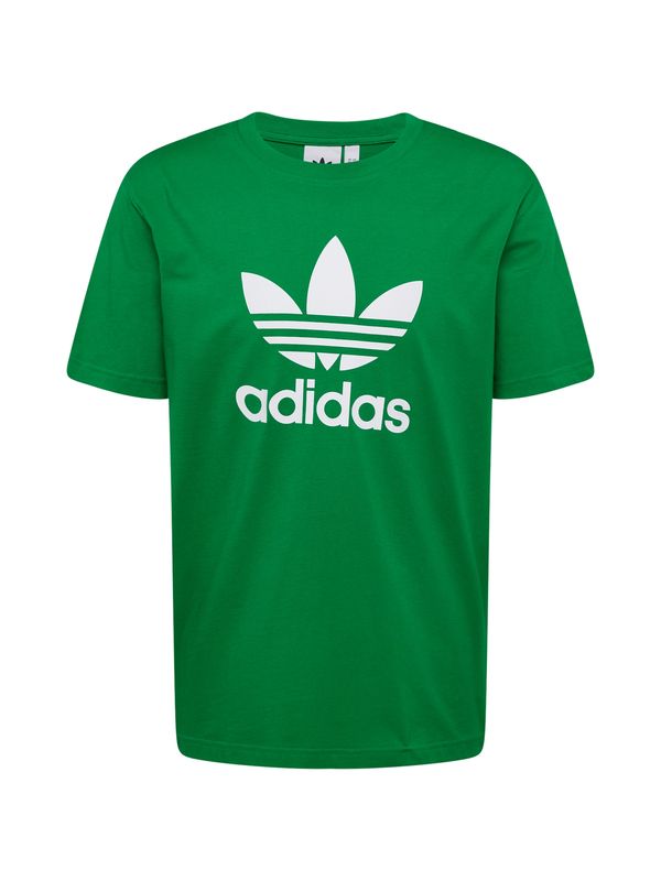 ADIDAS ORIGINALS ADIDAS ORIGINALS Majica 'Adicolor Trefoil'  zelena / bela