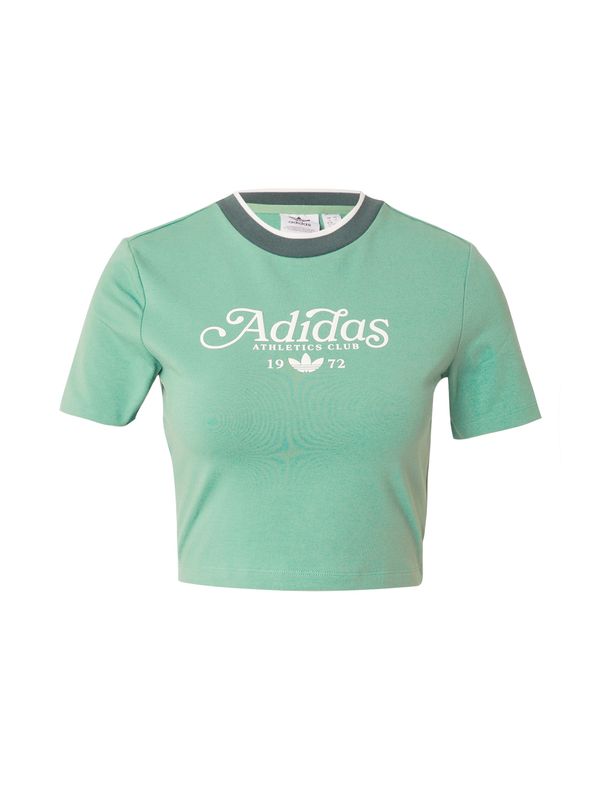 ADIDAS ORIGINALS ADIDAS ORIGINALS Majica  jelka / svetlo zelena / bela