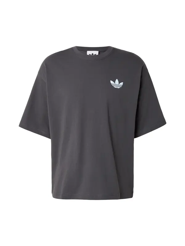 ADIDAS ORIGINALS ADIDAS ORIGINALS Majica 'Mountain'  svetlo modra / siva / svetlo siva / črna