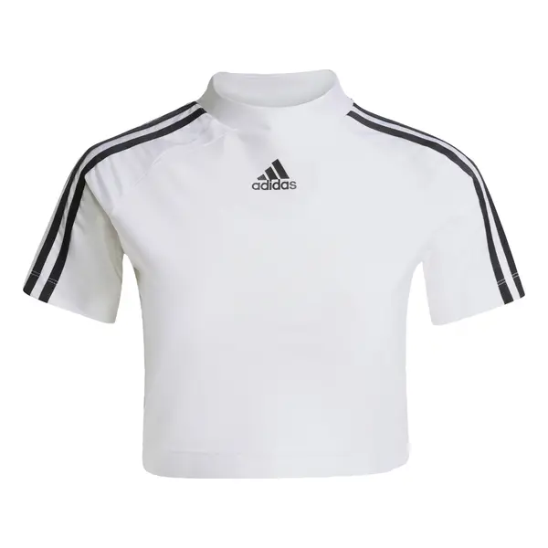 ADIDAS ORIGINALS ADIDAS ORIGINALS Majica 'Teamgeist Adicolor'  črna / bela