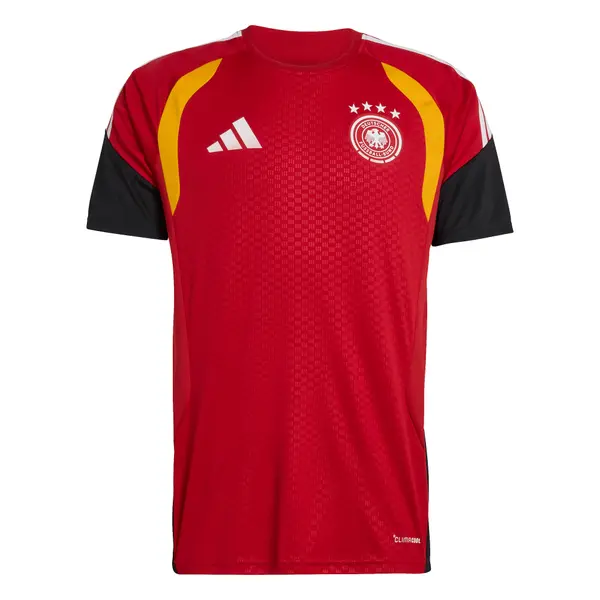ADIDAS PERFORMANCE ADIDAS PERFORMANCE Dres 'DFB TR JSY'  rdeča