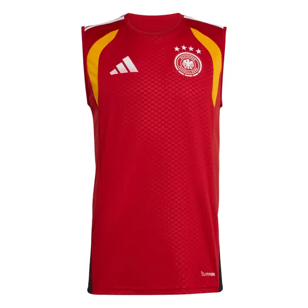 ADIDAS PERFORMANCE ADIDAS PERFORMANCE Dres 'DFB TR SL JSY'  rdeča
