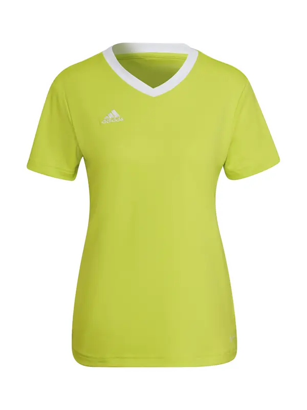 ADIDAS PERFORMANCE ADIDAS PERFORMANCE Dres 'Entrada 22'  kivi / bela