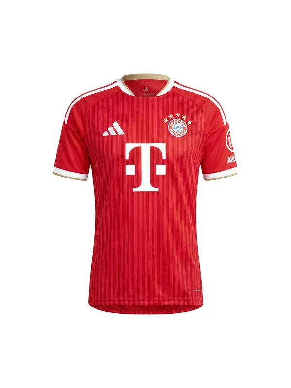 ADIDAS PERFORMANCE ADIDAS PERFORMANCE Dres 'FC Bayern München 26/27'  kamela / rdeča / temno rdeča / bela