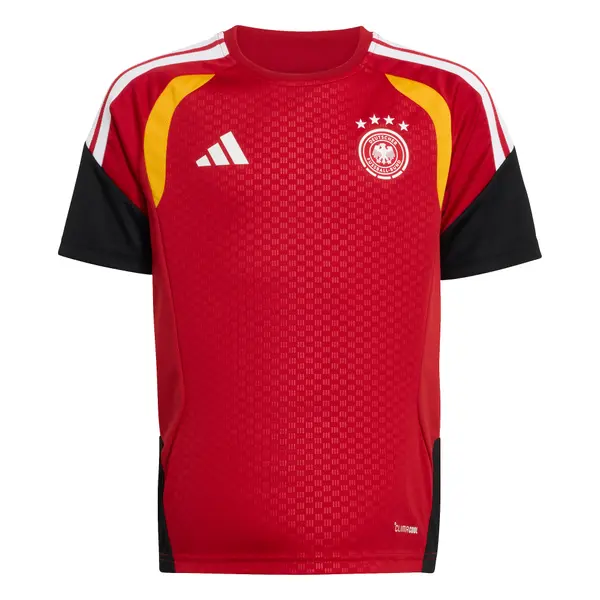 ADIDAS PERFORMANCE ADIDAS PERFORMANCE Funkcionalna majica 'DFB TR JSYY'  rdeča