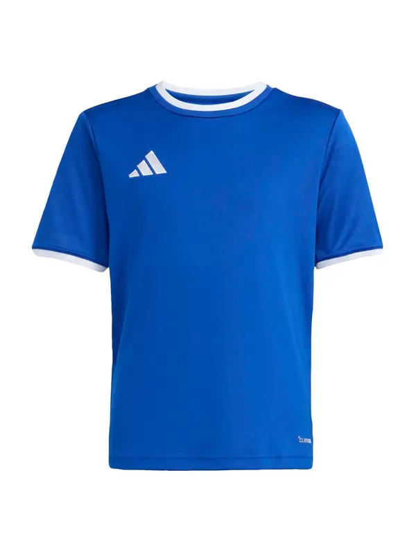 ADIDAS PERFORMANCE ADIDAS PERFORMANCE Funkcionalna majica 'ENT26'  kraljevo modra / bela