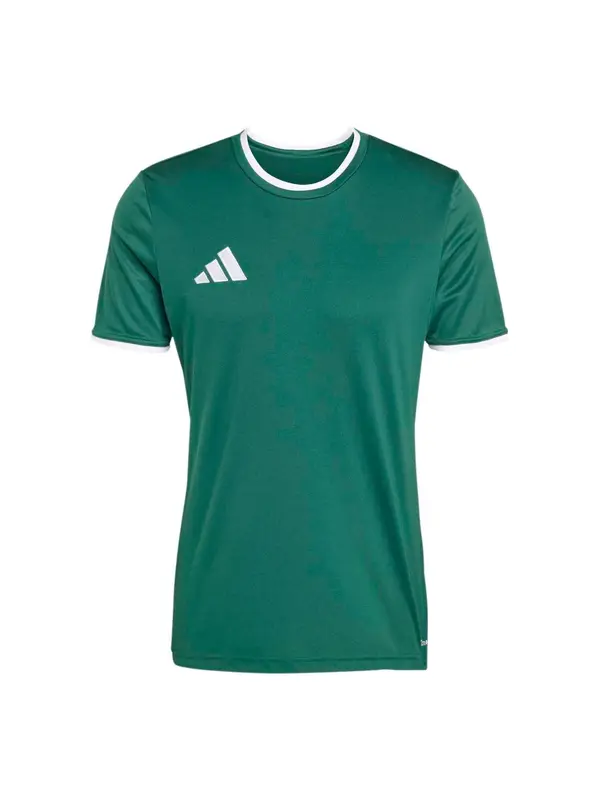 ADIDAS PERFORMANCE ADIDAS PERFORMANCE Funkcionalna majica 'ENT26'  zelena / bela