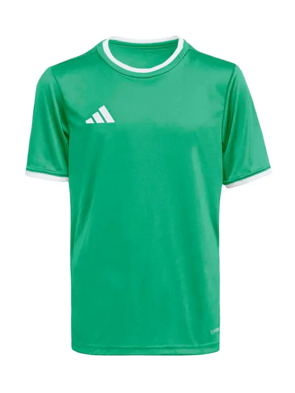 ADIDAS PERFORMANCE ADIDAS PERFORMANCE Funkcionalna majica 'ENT26'  zelena / bela