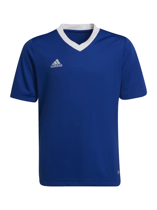 ADIDAS PERFORMANCE ADIDAS PERFORMANCE Funkcionalna majica 'Entrada 22'  kraljevo modra / bela
