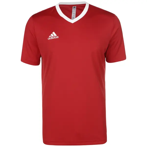 ADIDAS PERFORMANCE ADIDAS PERFORMANCE Funkcionalna majica 'Entrada 22'  rdeča / bela