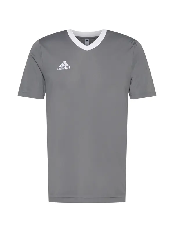 ADIDAS PERFORMANCE ADIDAS PERFORMANCE Funkcionalna majica 'Entrada 22'  svetlo siva / bela