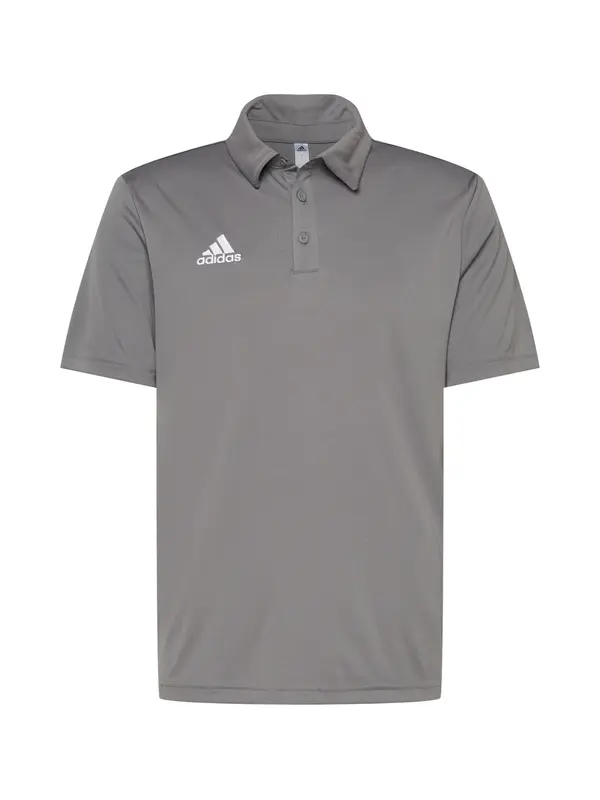 ADIDAS PERFORMANCE ADIDAS PERFORMANCE Funkcionalna majica 'Entrada 22'  temno siva / bela