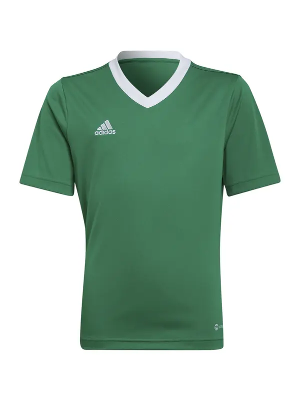 ADIDAS PERFORMANCE ADIDAS PERFORMANCE Funkcionalna majica 'Entrada 22'  travnato zelena / bela