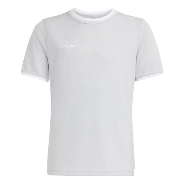 ADIDAS PERFORMANCE ADIDAS PERFORMANCE Funkcionalna majica 'Entrada26'  kamen / bela