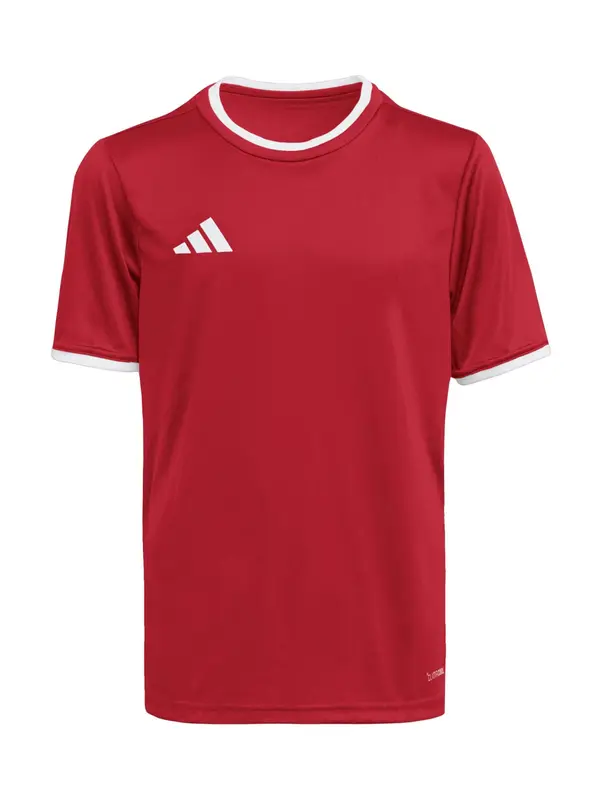 ADIDAS PERFORMANCE ADIDAS PERFORMANCE Funkcionalna majica 'Entrada26'  krvavo rdeča / bela