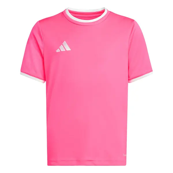 ADIDAS PERFORMANCE ADIDAS PERFORMANCE Funkcionalna majica 'Entrada26'  roza