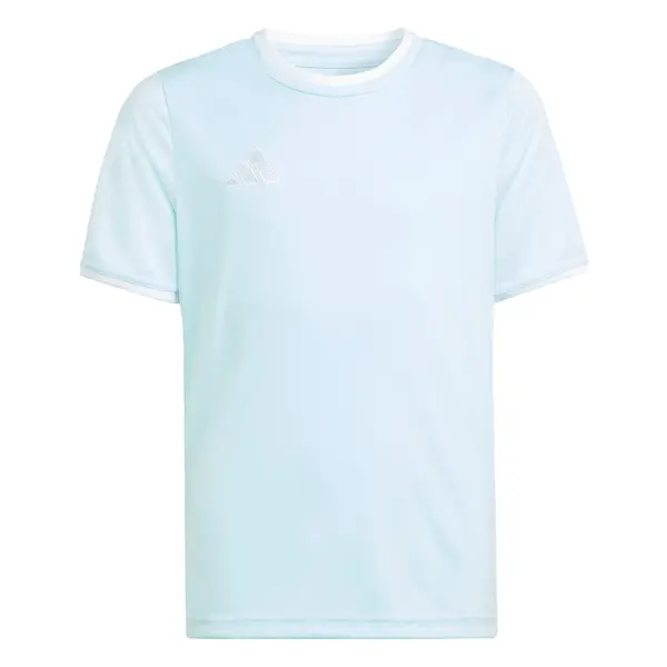ADIDAS PERFORMANCE ADIDAS PERFORMANCE Funkcionalna majica 'Entrada26'  svetlo modra / bela