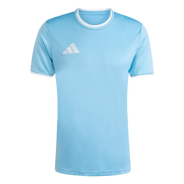 ADIDAS PERFORMANCE ADIDAS PERFORMANCE Funkcionalna majica 'Entrada26'  svetlo modra / bela
