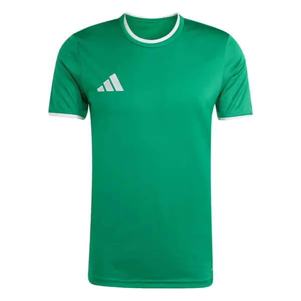 ADIDAS PERFORMANCE ADIDAS PERFORMANCE Funkcionalna majica 'Entrada26'  zelena