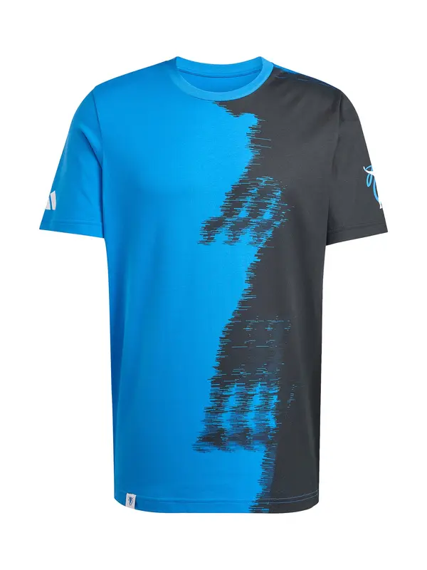 ADIDAS PERFORMANCE ADIDAS PERFORMANCE Funkcionalna majica  modra / črna