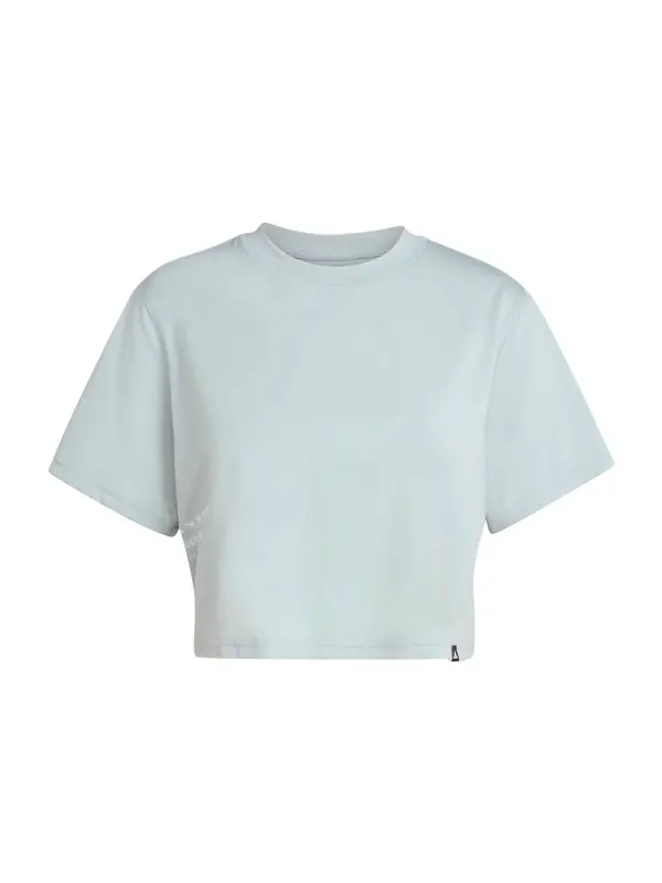 ADIDAS PERFORMANCE ADIDAS PERFORMANCE Funkcionalna majica  pastelno zelena / bela