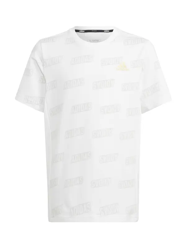 ADIDAS PERFORMANCE ADIDAS PERFORMANCE Funkcionalna majica  siva / bela