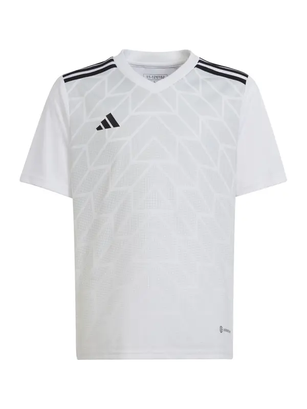 ADIDAS PERFORMANCE ADIDAS PERFORMANCE Funkcionalna majica  siva / črna / bela
