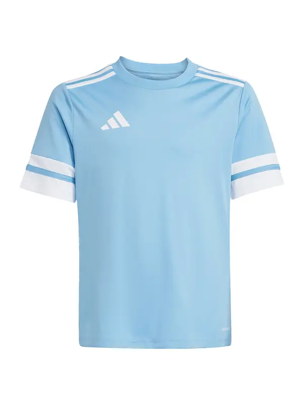 ADIDAS PERFORMANCE ADIDAS PERFORMANCE Funkcionalna majica  svetlo modra / bela