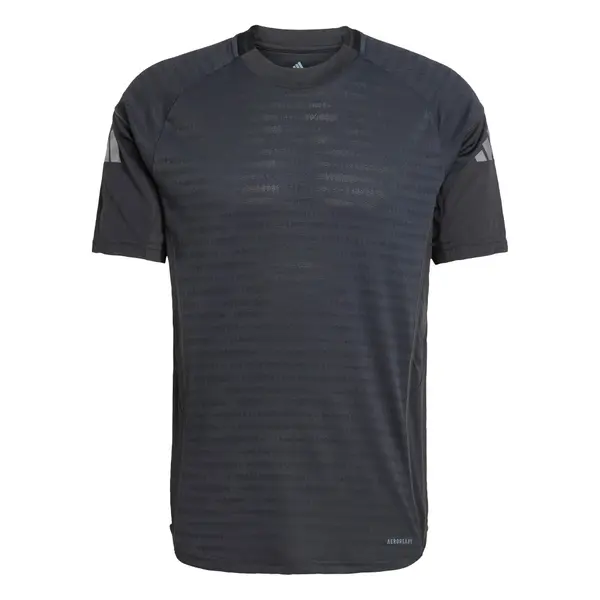 ADIDAS PERFORMANCE ADIDAS PERFORMANCE Funkcionalna majica 'Tiro 25 Pro'  antracit / svetlo siva / črna