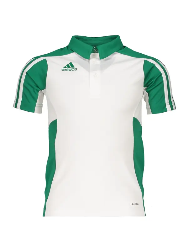 ADIDAS PERFORMANCE ADIDAS PERFORMANCE Funkcionalna majica  zelena / bela