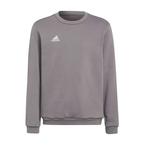 ADIDAS PERFORMANCE ADIDAS PERFORMANCE Športna majica 'Entrada 22'  temno siva / bela