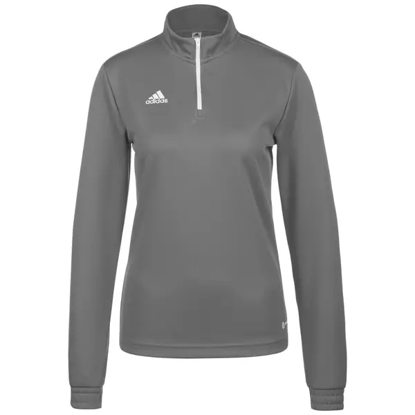 ADIDAS PERFORMANCE ADIDAS PERFORMANCE Športna majica 'Entrada 22'  temno siva / bela