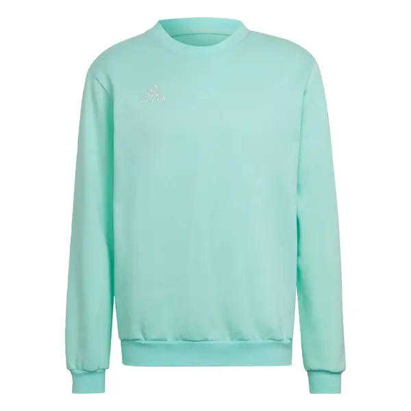 ADIDAS PERFORMANCE ADIDAS PERFORMANCE Športna majica 'Entrada 22'  turkizna