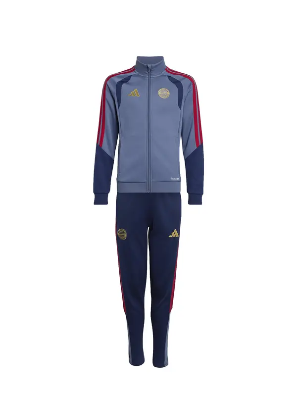 ADIDAS PERFORMANCE ADIDAS PERFORMANCE Športna trenirka 'FCB'  opal / temno modra / rdeča