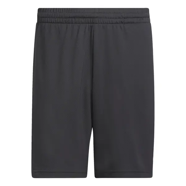 ADIDAS PERFORMANCE ADIDAS PERFORMANCE Športne hlače  antracit / bela