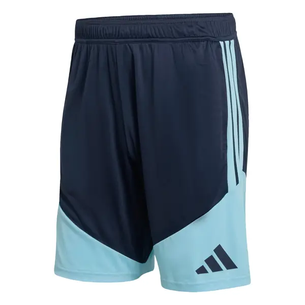 ADIDAS PERFORMANCE ADIDAS PERFORMANCE Športne hlače 'Argentinien 26 Tiro'  mornarska / svetlo modra