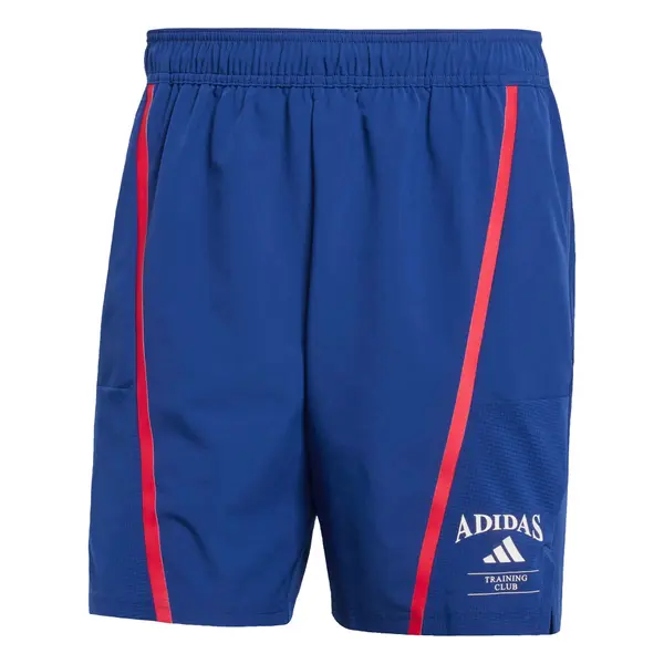 ADIDAS PERFORMANCE ADIDAS PERFORMANCE Športne hlače 'Designed Fot Training Legacy'  encijan / grenada / bela