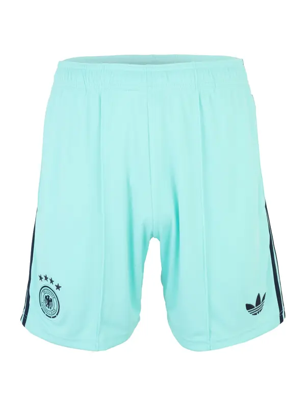 ADIDAS PERFORMANCE ADIDAS PERFORMANCE Športne hlače 'DFB'  mornarska / voda