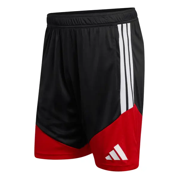 ADIDAS PERFORMANCE ADIDAS PERFORMANCE Športne hlače 'DFB'  rdeča / črna / bela