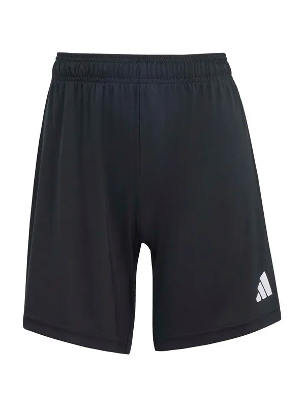 ADIDAS PERFORMANCE ADIDAS PERFORMANCE Športne hlače 'ENT26'  črna / bela