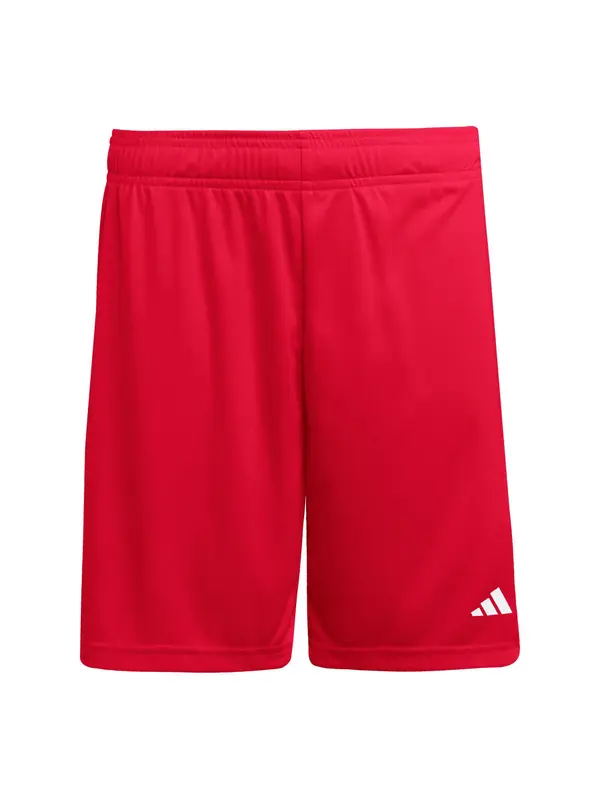 ADIDAS PERFORMANCE ADIDAS PERFORMANCE Športne hlače 'ENT26'  rdeča